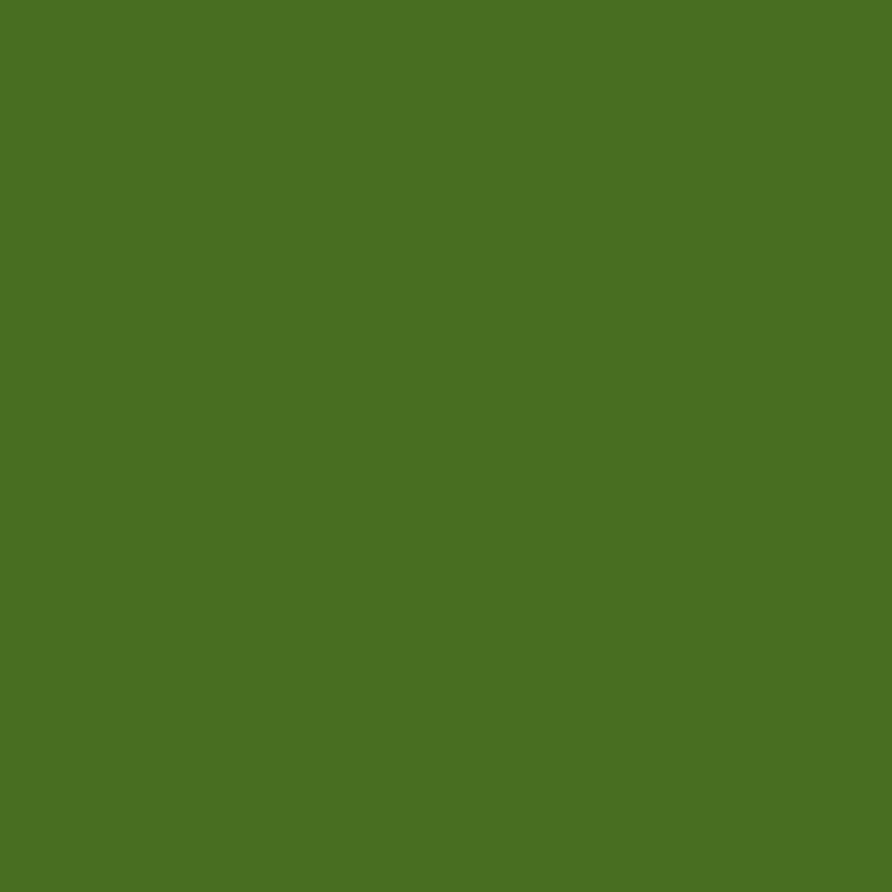 Waverly Inspirations 100% Cotton 54" Solid Olive Sewing Fabric by the Yard