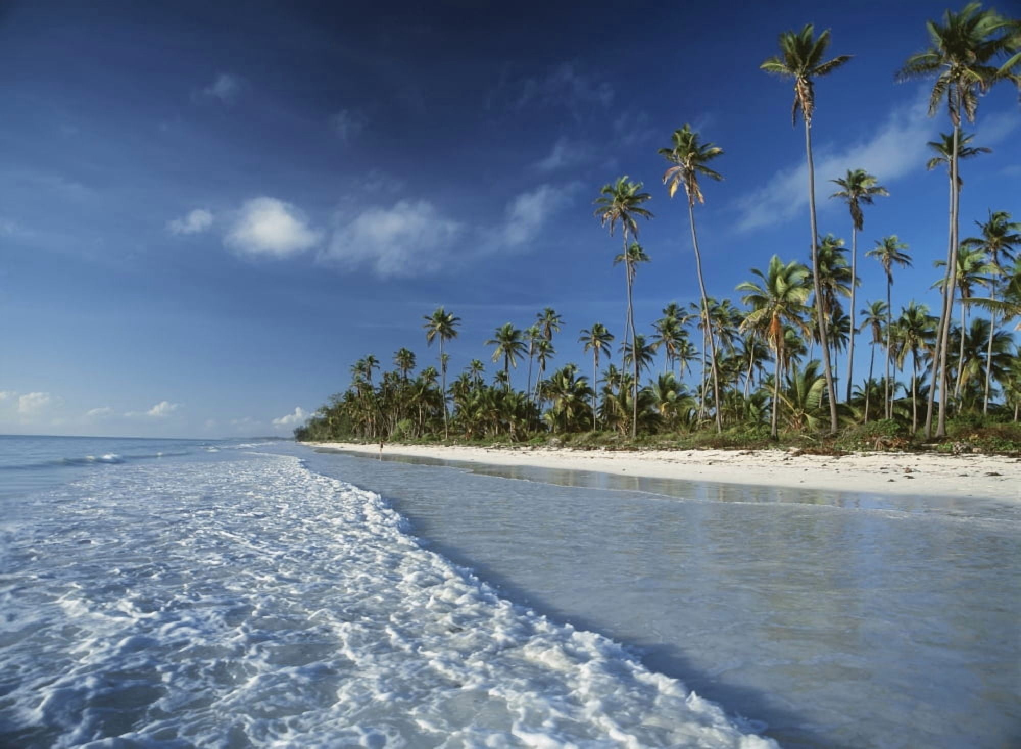 Waves Lapping Shore Of Beach With Palm Trees Behind Canvas Art - Ian Cumming Design Pics (18 x 13)