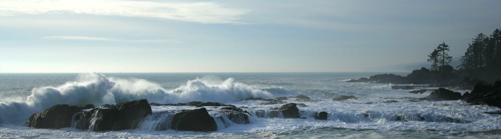Waves On Rocky Shoreline Botany Bay British Columbia Canvas Art - Robert Postma Design Pics (36 x 11)