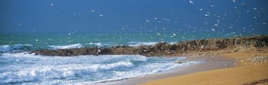 Waves breaking on the coast Morbihan Brittany France Canvas Art - Panoramic Images (18 x 6)
