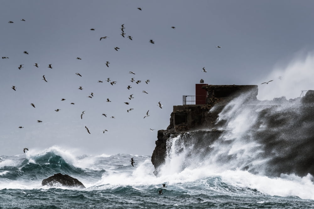 Waves crashing against the rugged rock coastline as birds fly overhead against a blue sky La Isla Tarifa Costa de la Luz Cadiz Andalusia Spain Canvas Art - Ben Welsh Design Pics (19 x 12)