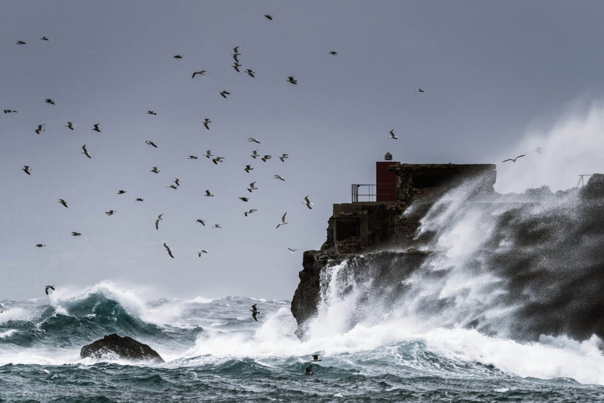 Waves crashing against the rugged rock coastline as birds fly overhead against a blue sky La Isla Tarifa Costa de la Luz Cadiz Andalusia Spain Canvas Art - Ben Welsh Design Pics (38 x 24)