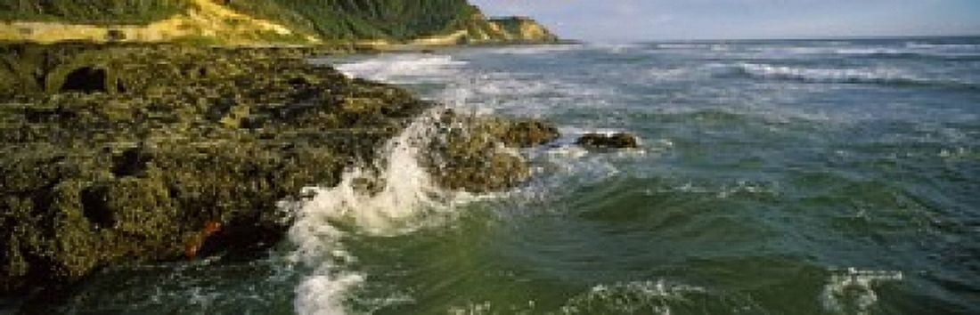 Waves splashing on rocks Oregon Coast Oregon USA Canvas Art - Panoramic Images (36 x 12)
