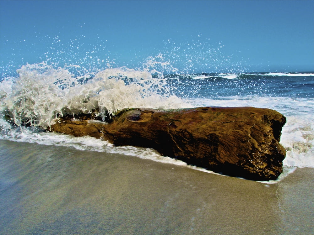 Waves splashing over driftwood on beach Canvas Art - Amanda NichollsStocktrek Images (17 x 13)