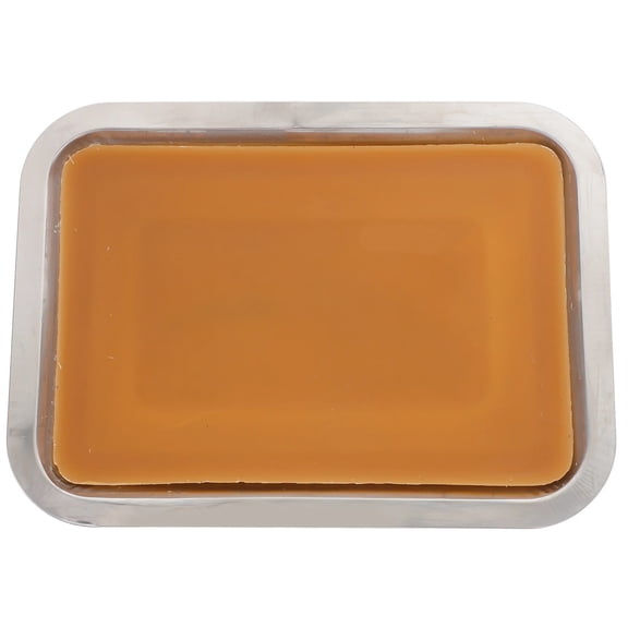 Wax Dissection Tray Biological Laboratory Equipment 18x25cm Layered White Wax Bottom for Junior Senior School Science Experiment