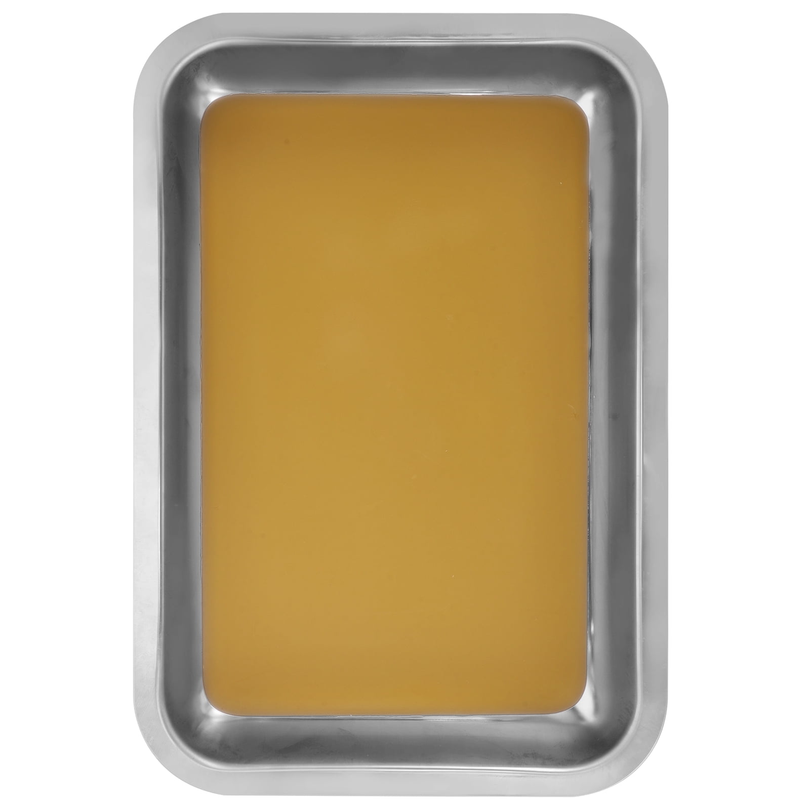 Wax Dissection Tray Stainless Steel Dissection Tray Biological Laboratory Dissecting Tray