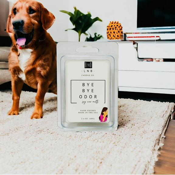 Wax Melt Odor Eliminator