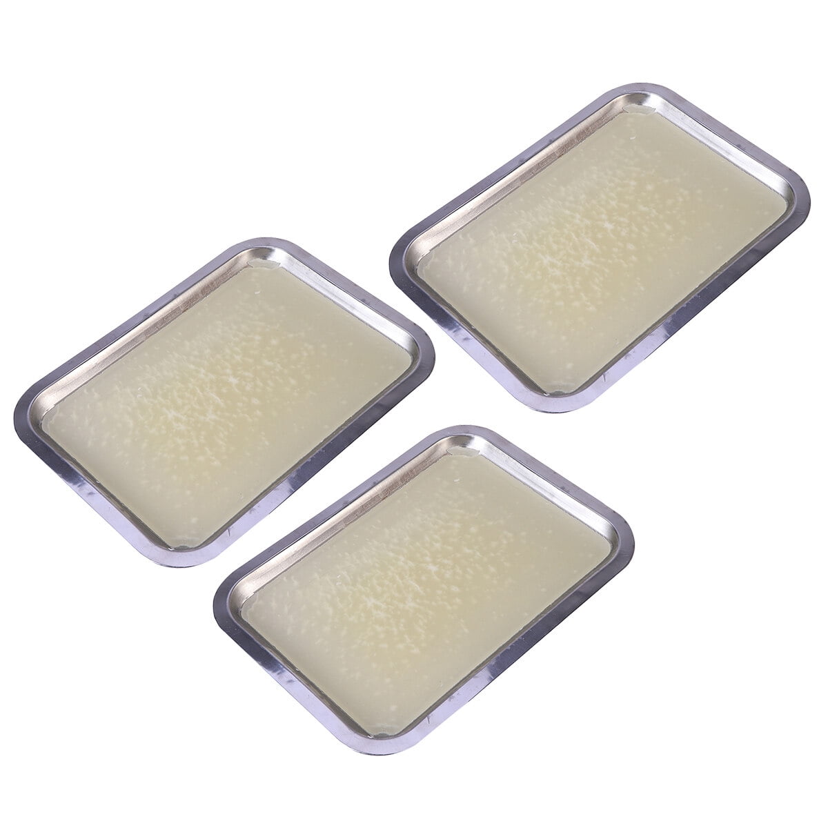 Wax dissection tray 3pcs Wax Dissecting Tray Biological Laboratory