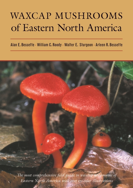 Waxcap Mushrooms of Eastern North America (Hardcover) - image 1 of 1