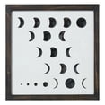 thumbnail image 1 of Waxing and Waning Framed Wall Art by Drew Barrymore Flower Home, 1 of 8