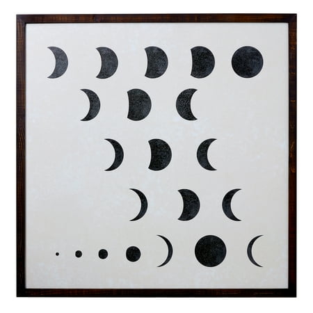 Waxing and Waning II Framed Wall Art by Drew Barrymore Flower Home