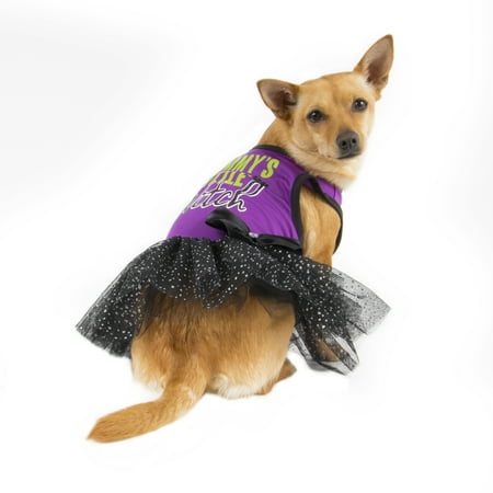 Way To Celebrate Dog Dress, Purple Mommy's Little Witch, (Medium)