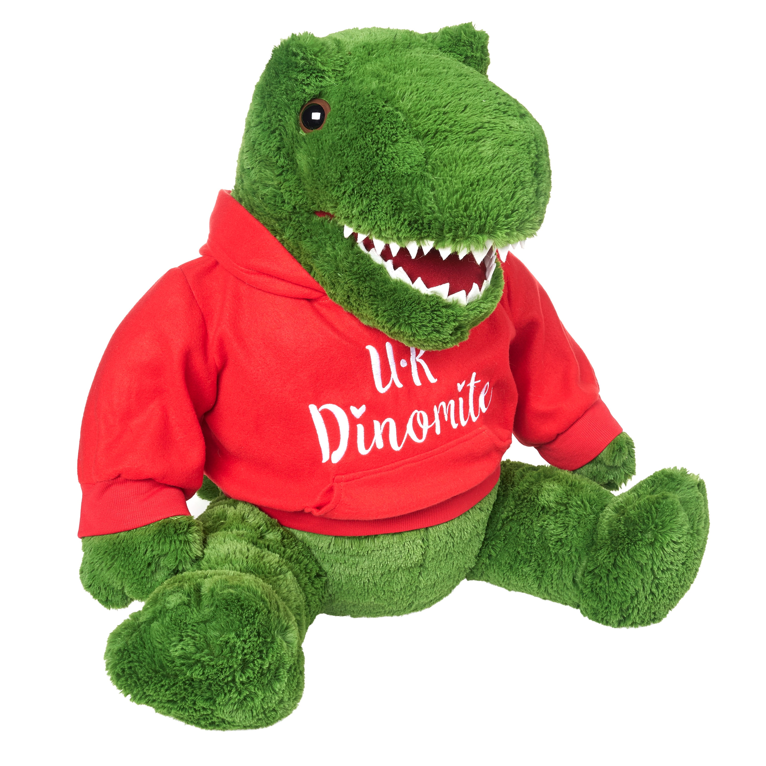  Sallydream Dinosaur Sweatshirt,Dinosaur Gifts Things