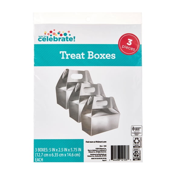 Silver Treat Boxes with Handles, 5" x 2.5" x 5.75", 3 Count, by Way To Celebrate
