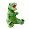 Way to Celebrate! 40" Valentine Green Dinosaur Plush Toy