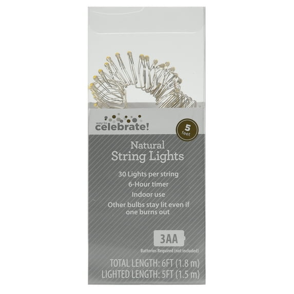 Way to Celebrate 5' Warm White LED Light String Set