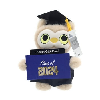Way to Celebrate Graduation 8 Inch Plush with Gift Card Holder, Owl