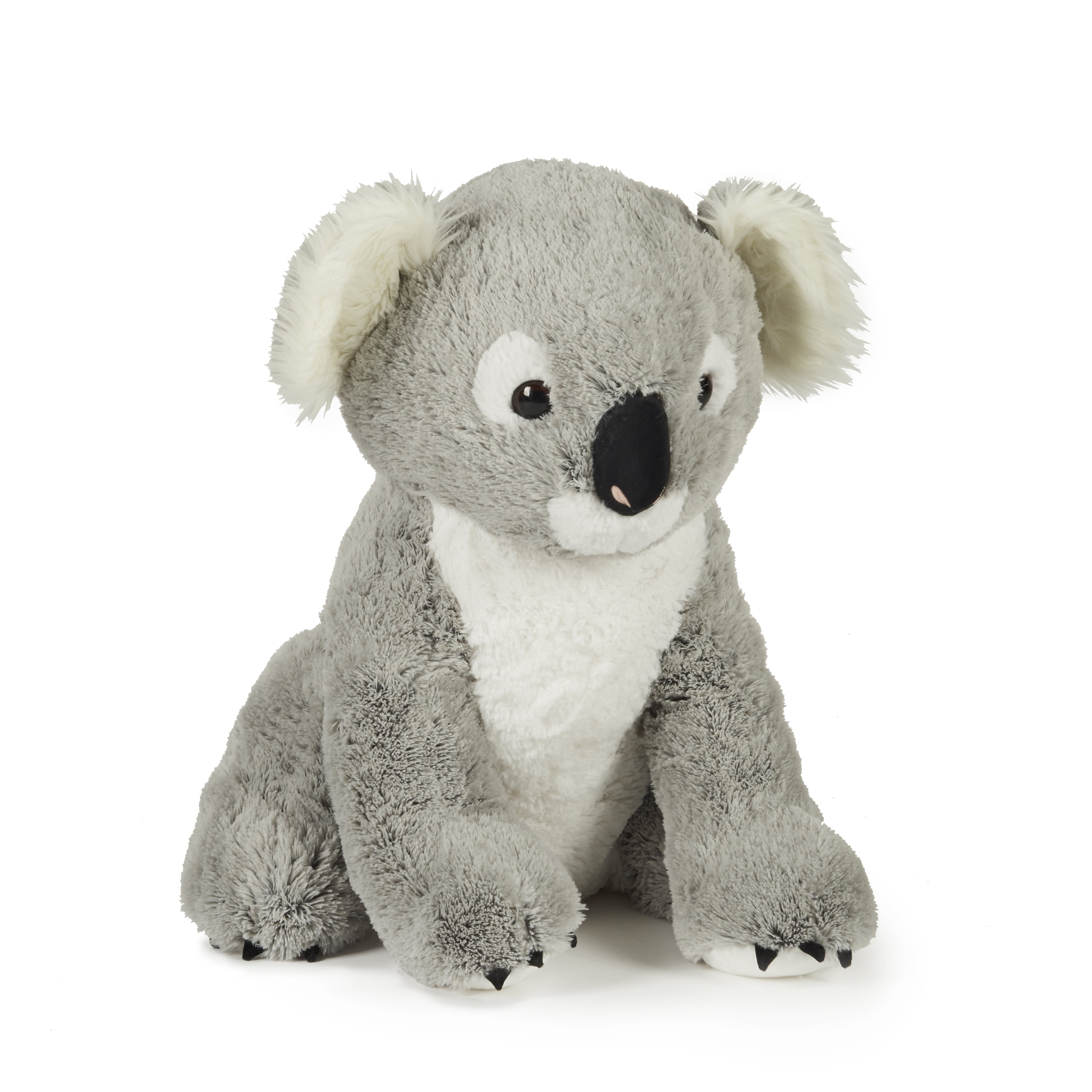 Koala Bear Gifts - 60+ Gift Ideas for 2024