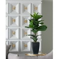 thumbnail image 1 of Wayborn Dmax Green/Black Potted Fiddle-Leaf Fig Plant 19.7″L X 15.8″W X 35.4″H, 1 of 5