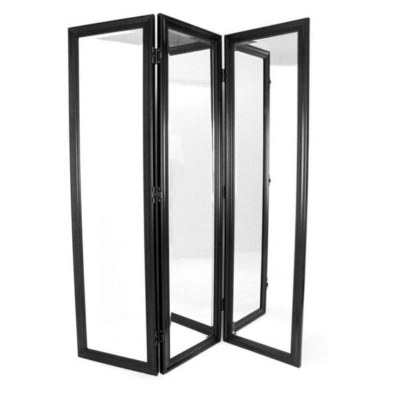 Wayborn Mirror with Frame Full Size Dressing Room Divider in Black