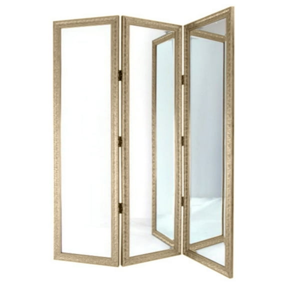Wayborn Mirror with Frame Full Size Dressing Room Divider in Silver