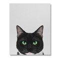thumbnail image 1 of Wayfare Art Canvas Prints Poster, Animal 8 x 10 inch Wall Decor Canvas Artwork, Animal Tuxedo Cat White Chin, 1 of 7