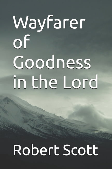 Wayfarer of Goodness in the Lord, (Paperback)