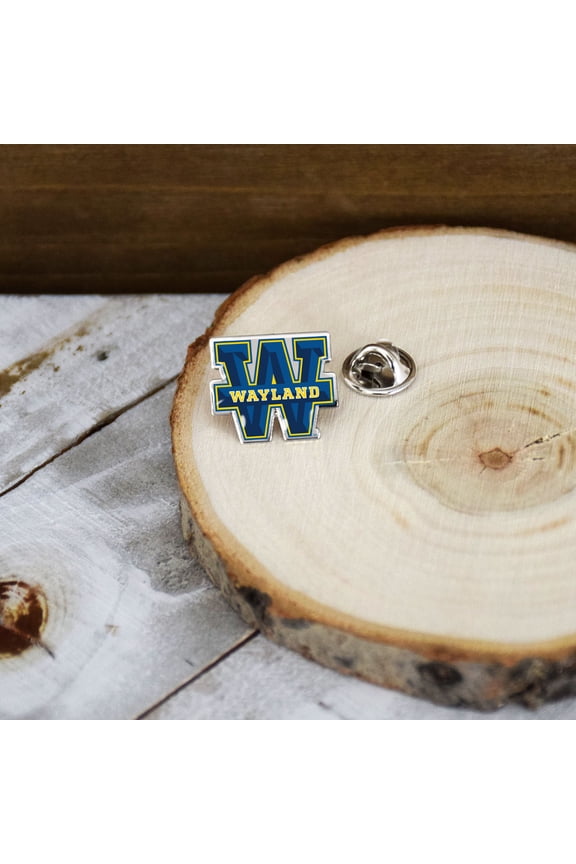 Wayland Baptist Pin