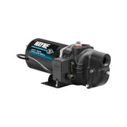 Wayne Cast Iron Shallow Well Jet Pump, 1 Hp, 120 Volts, 630 Gph