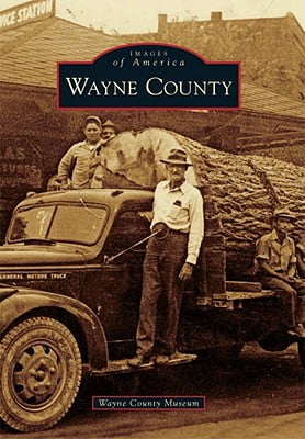 Wayne County (Images of America) - Walmart.com