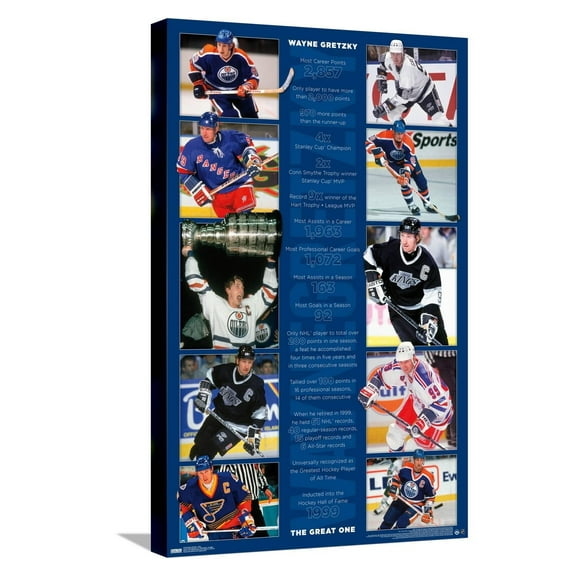 Wayne Gretzky - Stats Canvas Wall Poster, 14.725" x 22.375"