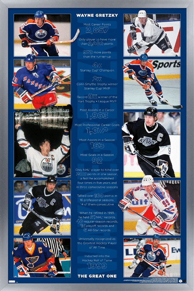 Wayne Gretzky - Stats Wall Poster, 14.725" x 22.375", Framed