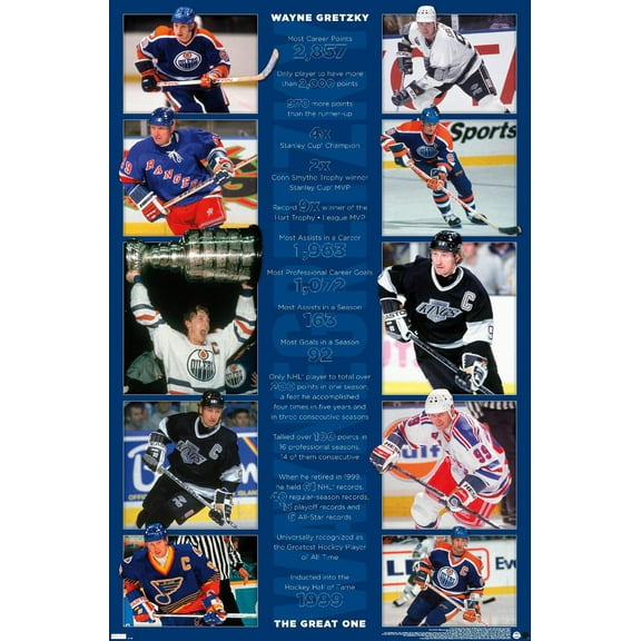 Wayne Gretzky - Stats Wall Poster, 22.375" x 34"