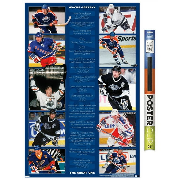Wayne Gretzky - Stats Wall Poster, 22.375" x 34"
