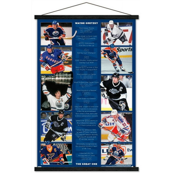 Wayne Gretzky - Stats Wall Poster with Wooden Magnetic Frame, 22.375" x 34"