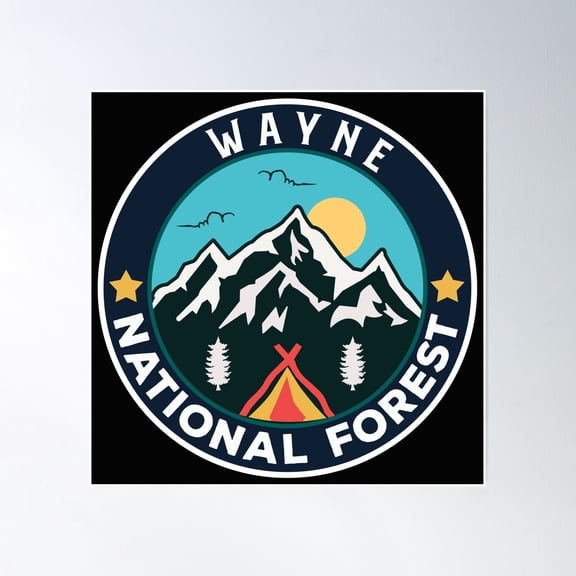 Wayne National Forest Poster Wall Art, Modern Wall Decor, 24x24 UNFRAMED