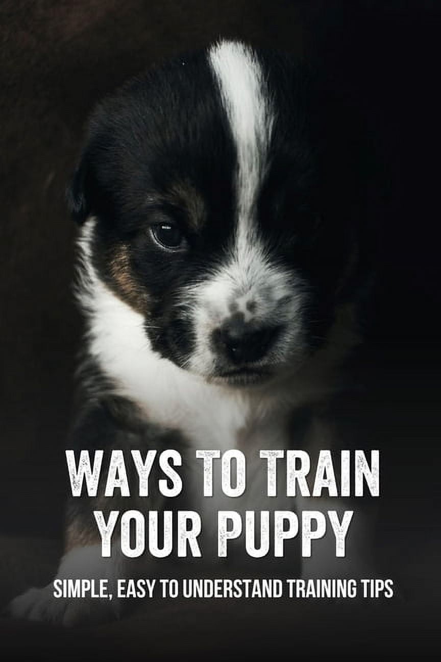 Ways To Train Your Puppy: Simple, Easy To Understand Training Tips: Leash Walking For Dog (Paperback)