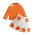 thumbnail image 1 of Wdgfv Girls Outfits Sets Long Sleeve High Neck Embroidered Ribbed Top With Button Shorts Winter Fall Casual School Party Outfit For Toddler Baby 6 Months To 3 Years Orange 9-12 Months, 1 of 9