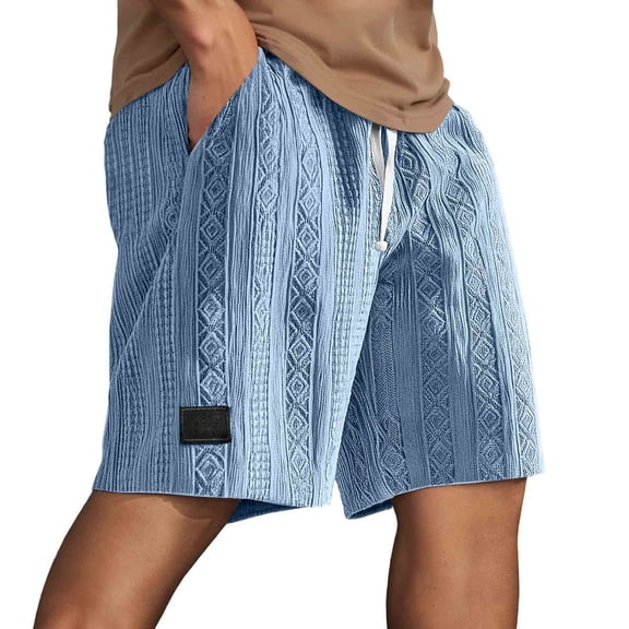 Wdgfv Shorts for Mens 2025 Pacificozy Cozy Texture Embroidered Logo Casual Stretch Elastic Waist Shorts with Pockets