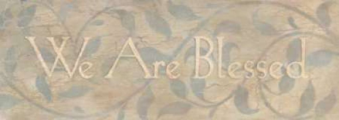 We Are Blessed Canvas Art - Stephanie Marrott (24 x 48)