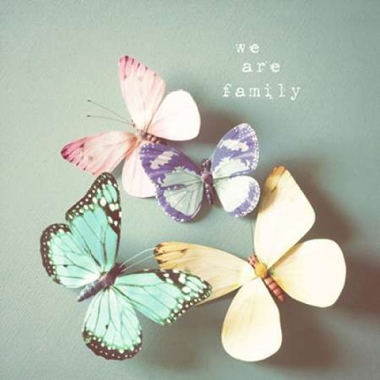 We Are Family Canvas Art - Susannah Tucker Photography (24 x 24)