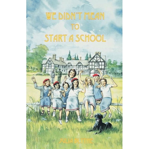 We Didn't Mean to Start A School, (Paperback)