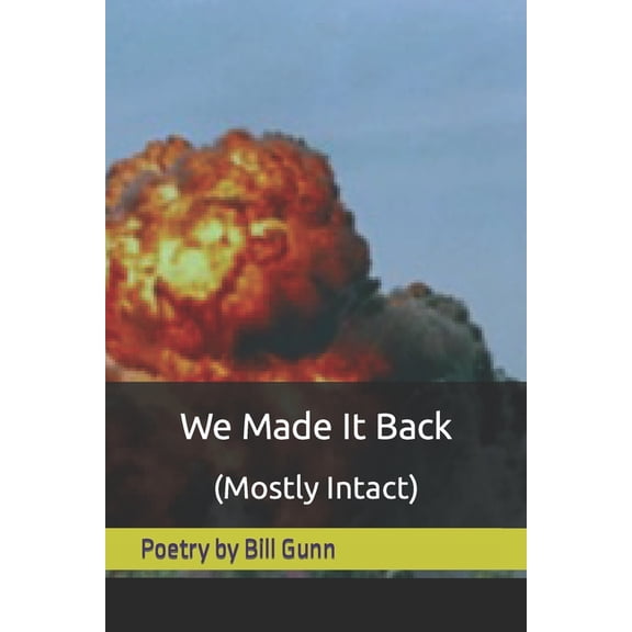 We Made It Back (Mostly Intact), (Paperback)