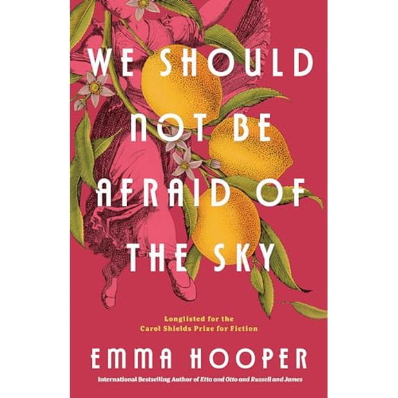 Pre-Owned We Should Not Be Afraid of the Sky (Paperback) 0735232768 9780735232761