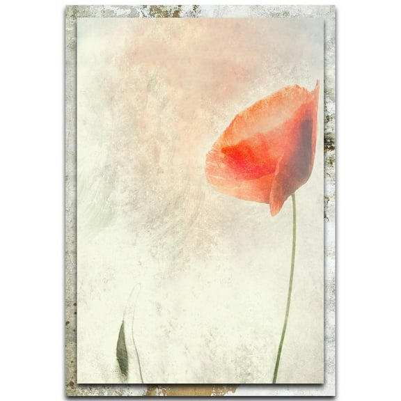 We Should Not Sleep Distressed Frame