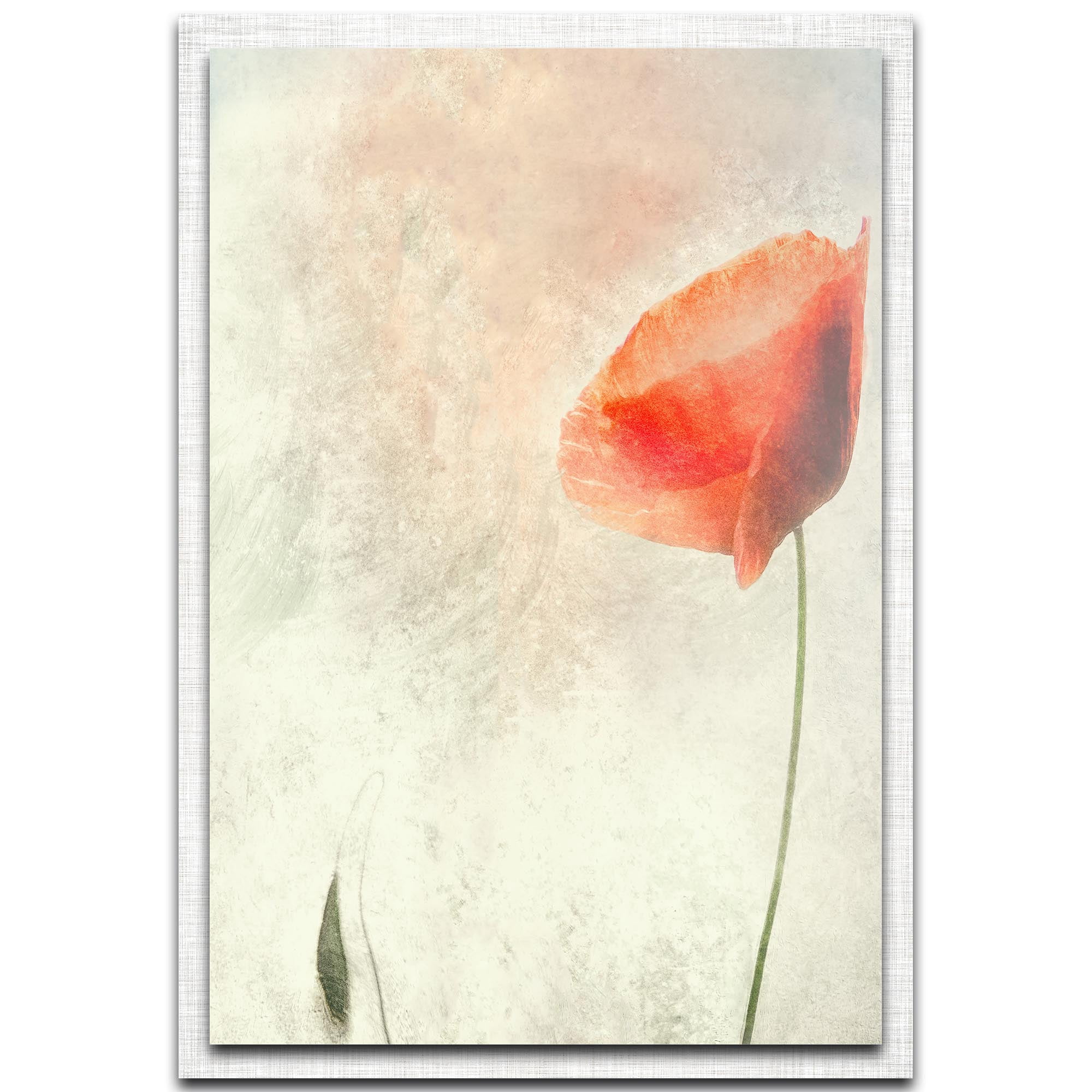 We Should Not Sleep Parchment Frame