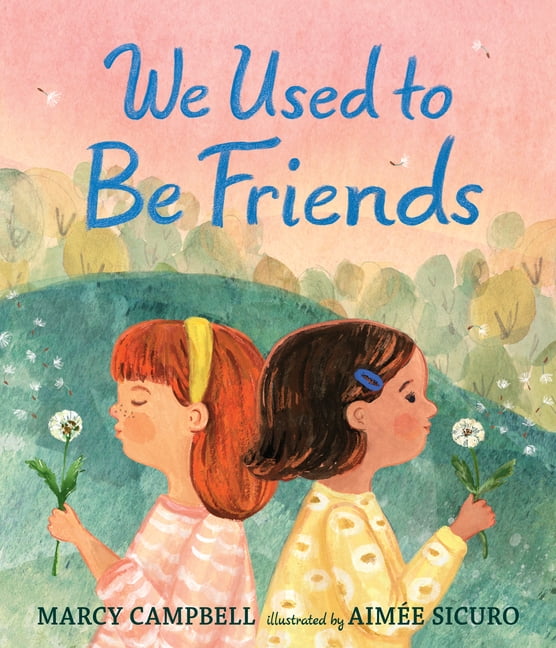 We Used to Be Friends, (Hardcover)