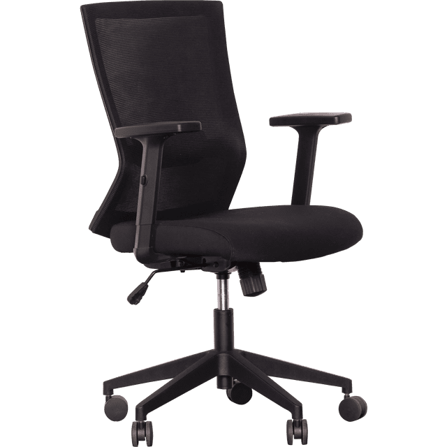 We Work Ergonomic Office Chair with Adjustable Arms, Lumbar Support, Swivel & Tilt, Comfy with