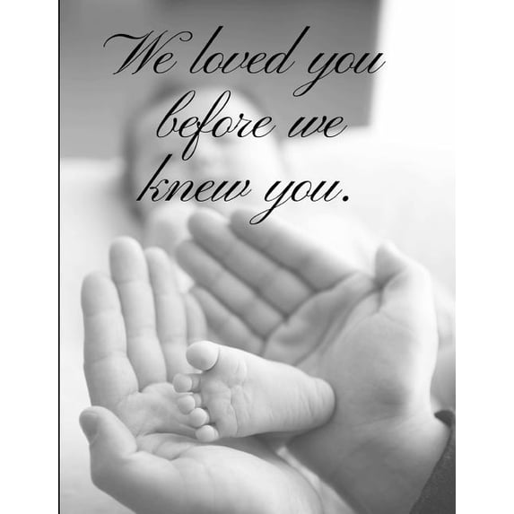 We loved You Before We Knew You: Baby Book For Adoptive Parents (Paperback)