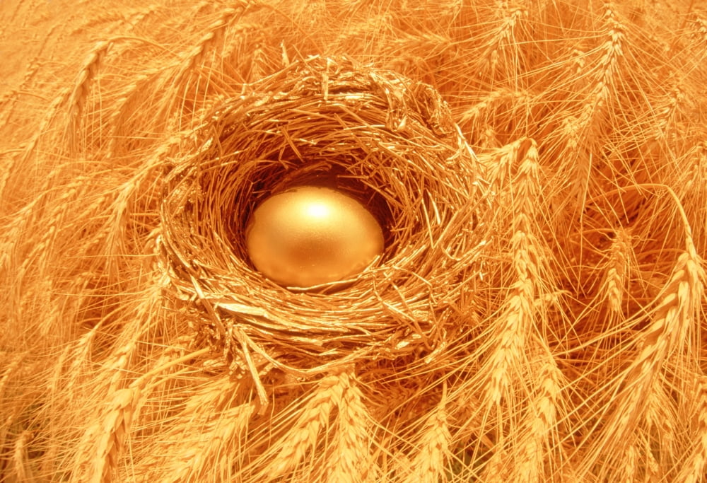 Wealth In Agriculture Concept Golden Egg In Wheat Field Canvas Art - Dave Reede Design Pics (17 x 11)